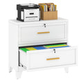 White 2 Drawer Metal Lateral File Cabinet with Lock Q2695