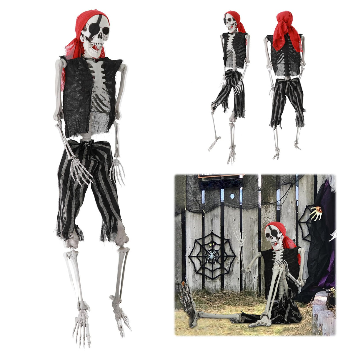 Life Size Skeleton with Joints P52203
