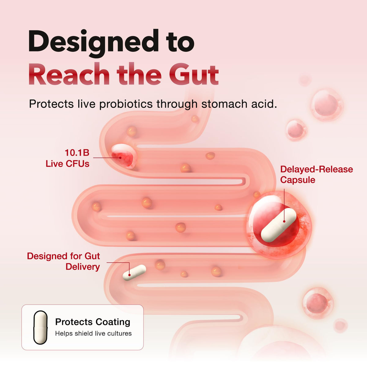 Probiotics for Bloating Relief 30 Capsules F705670