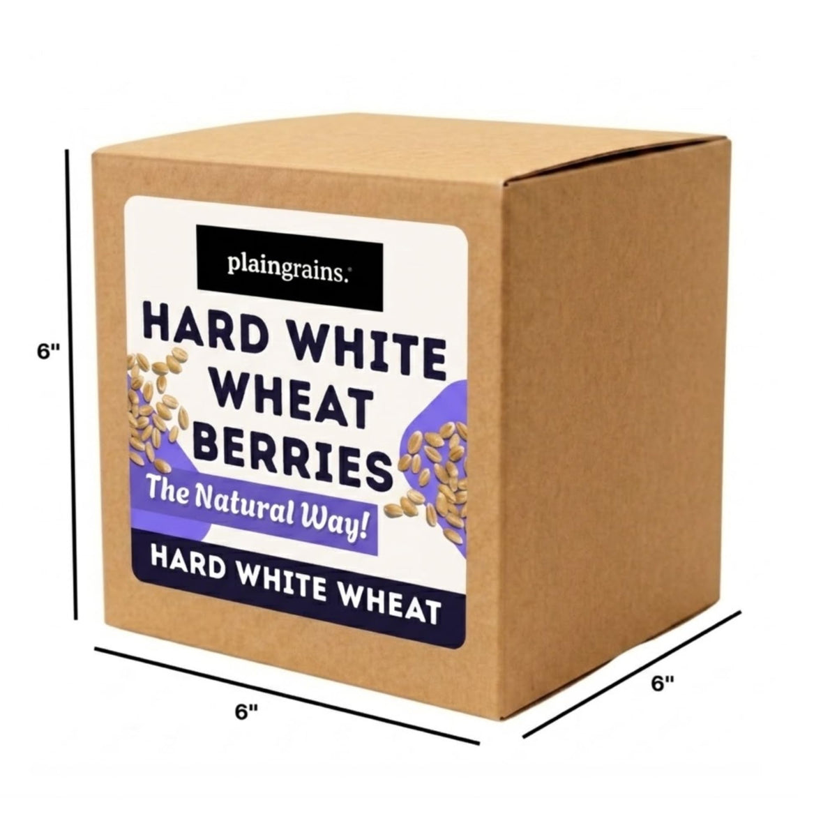 5.5 LB Dry Hard White Wheat Berries Whole Grain J846