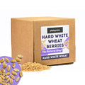 5.5 LB Dry Hard White Wheat Berries Whole Grain J846