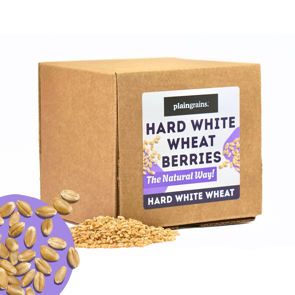 5.5 LB Dry Hard White Wheat Berries Whole Grain J846