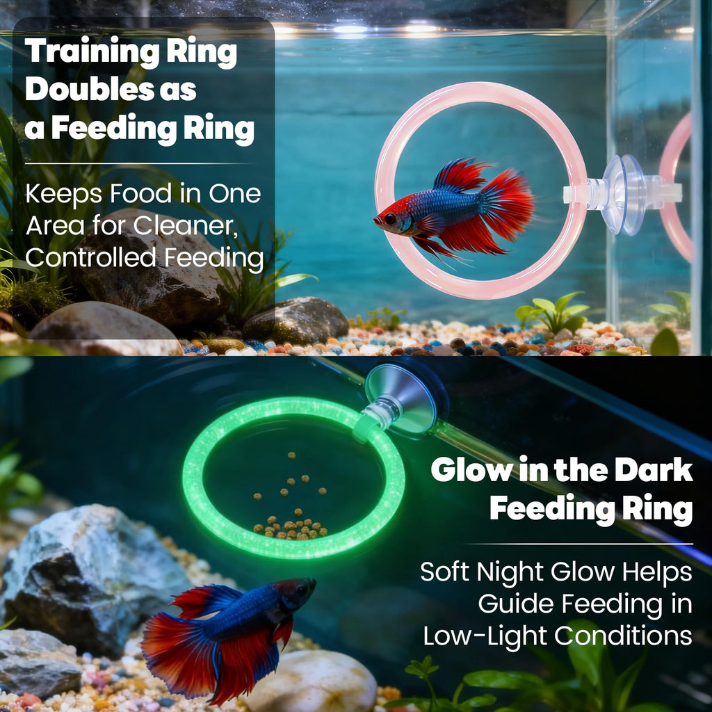 Betta Fish Tunnel Hammock Mirror Floating Ball 2 Training Ring Toys T21511