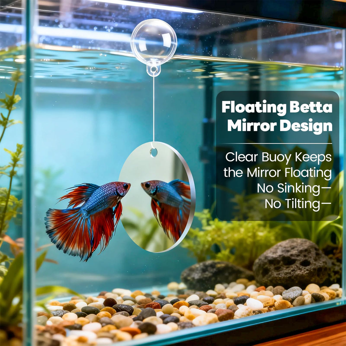 Betta Fish Tunnel Hammock Mirror Floating Ball 2 Training Ring Toys T21511