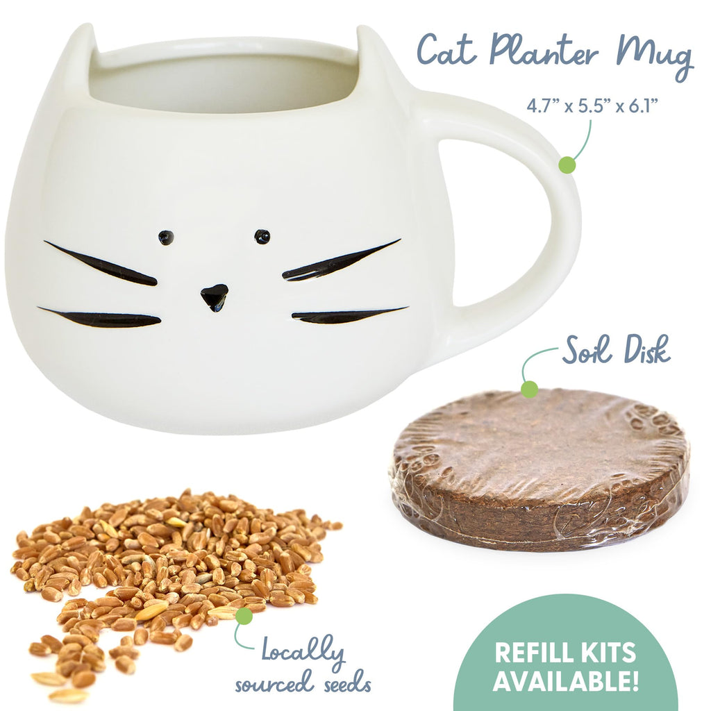 Organic Cat Grass Growing Kit with Seed Mix Soil and White Planter D970827