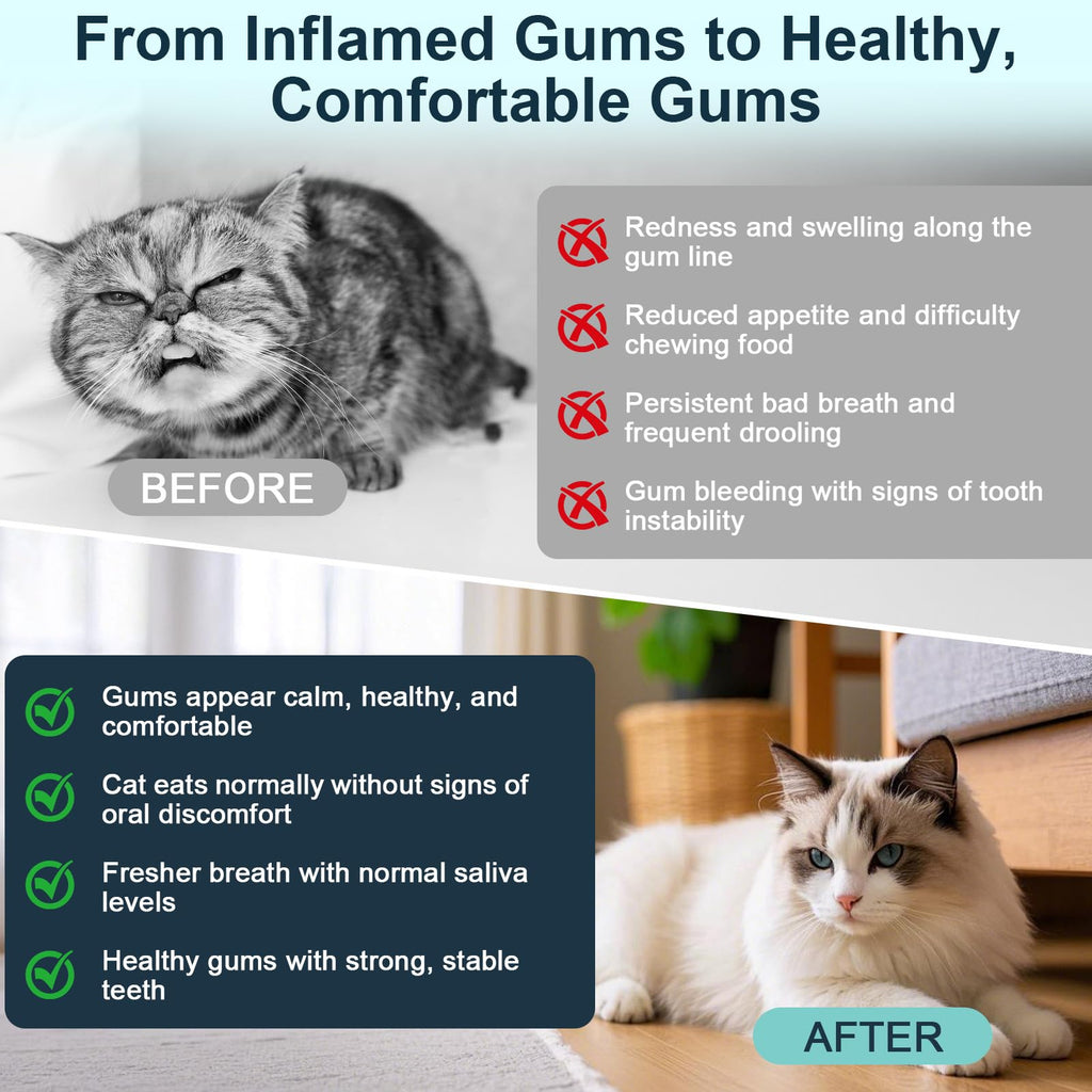 Natural Plant-Based Cat Oral Care P77540