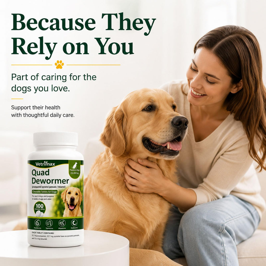 Dewormer for Dogs, 4-Way Wormer, 100 Count P70759
