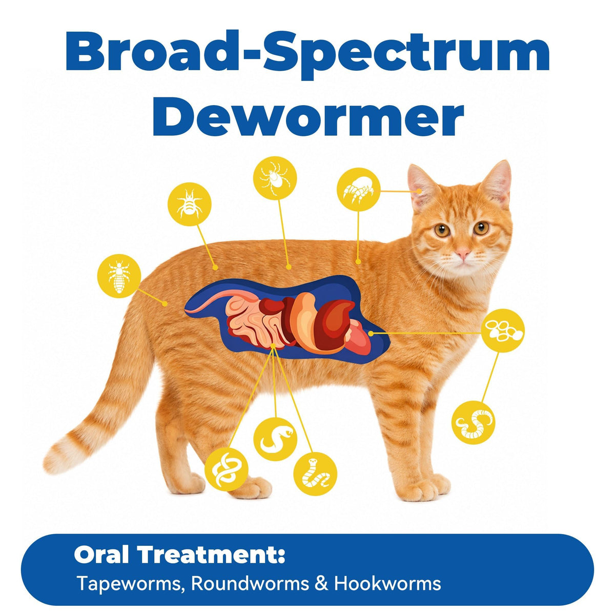 7 Way De-Wormer Chewable Tablets for Dogs & Cats, 50 Count E82525
