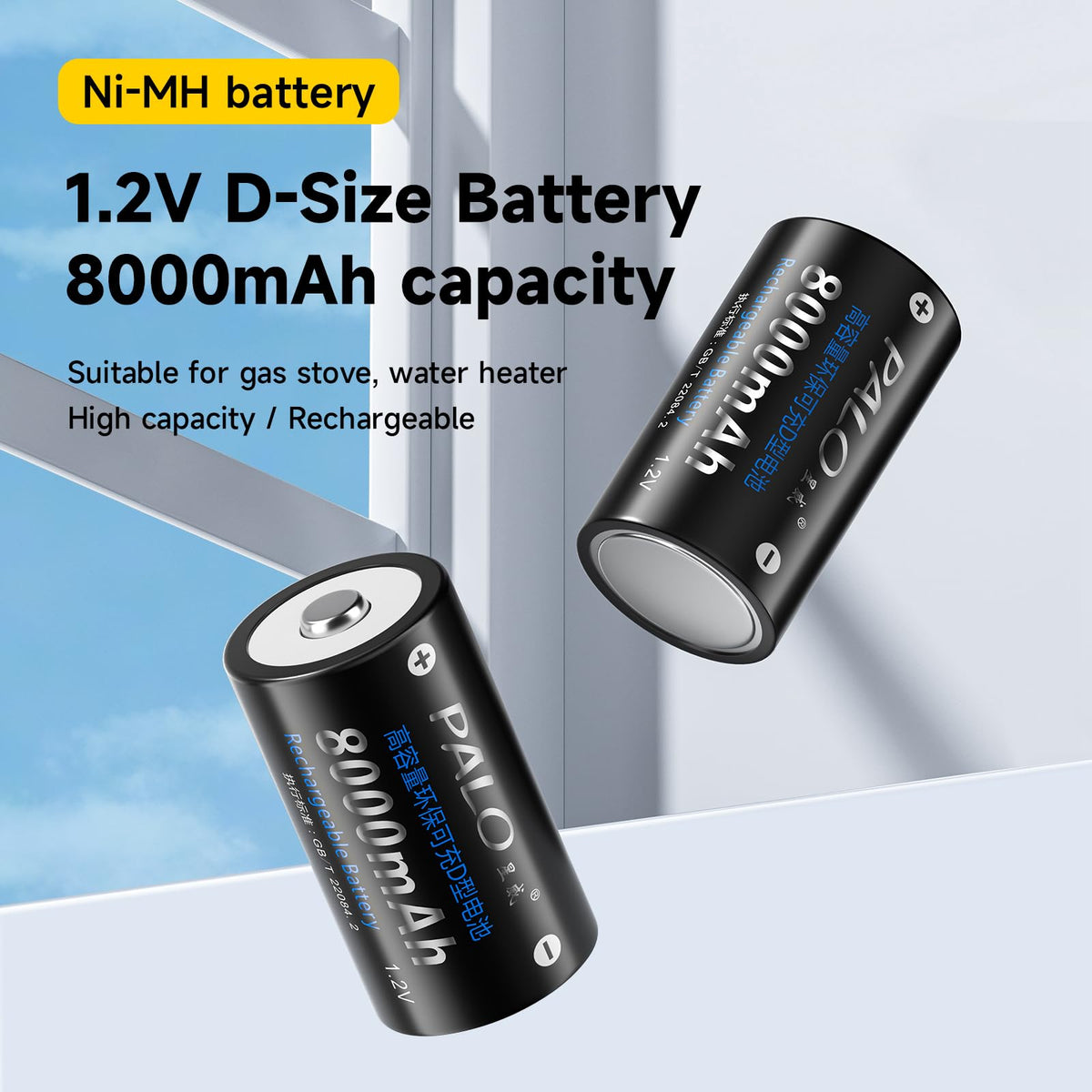 6 Pack Rechargeable D Batteries with Charger G798510