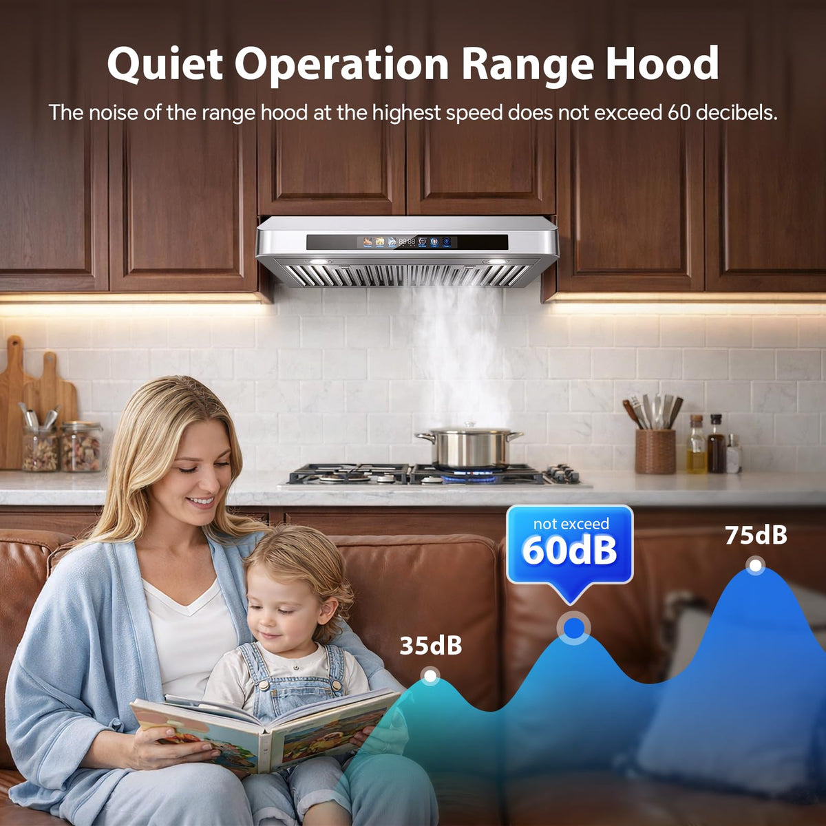 30" Under Cabinet Range Hood Y755