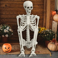 5.4FT Posable Skeleton with Movable Joints I468851