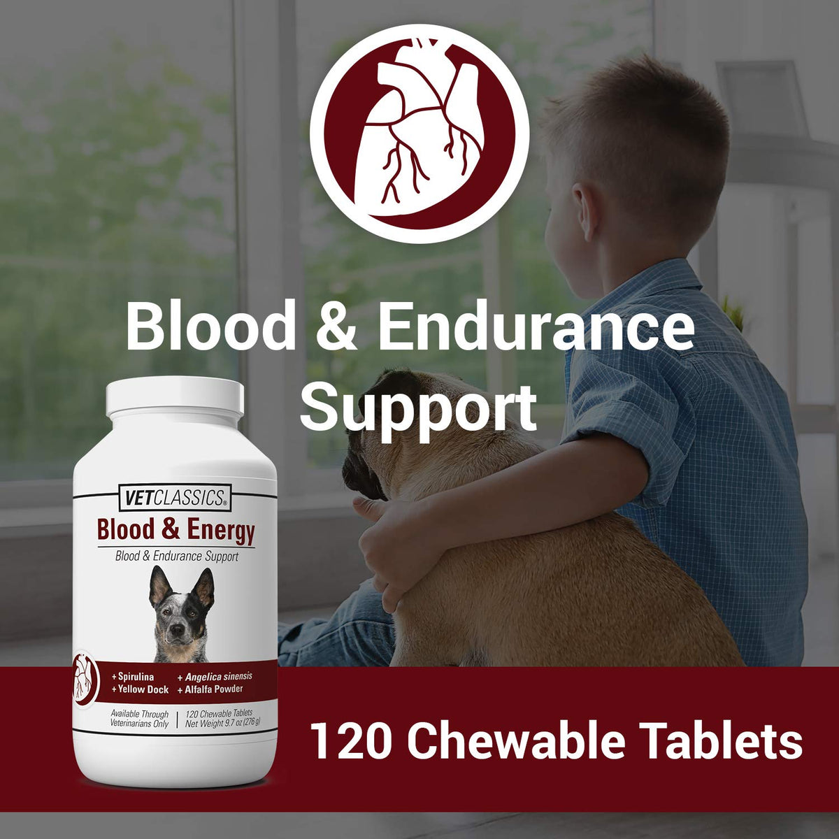Blood & Energy Support Supplement for Dogs 120 Tablets R6716
