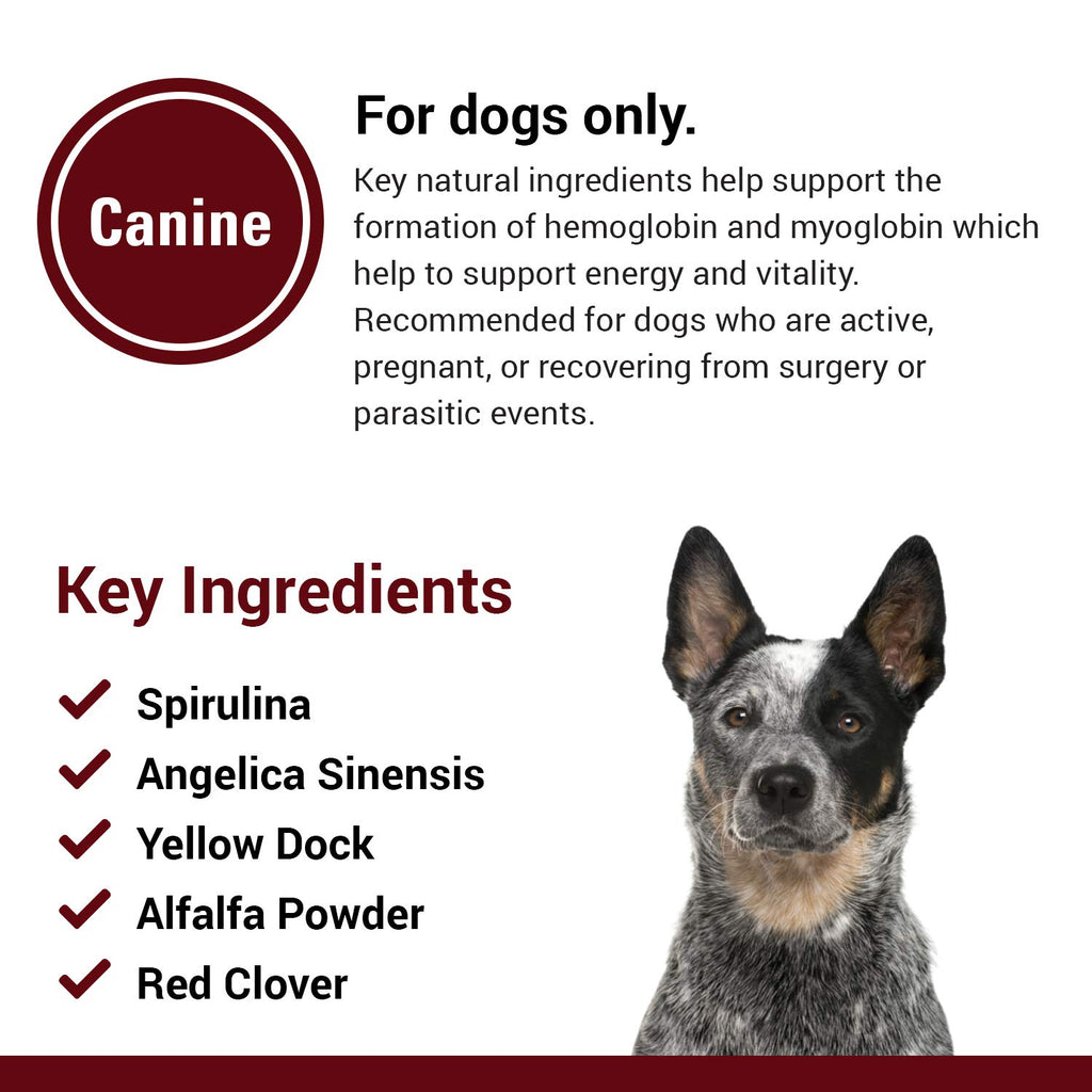 Blood & Energy Support Supplement for Dogs 120 Tablets R6716