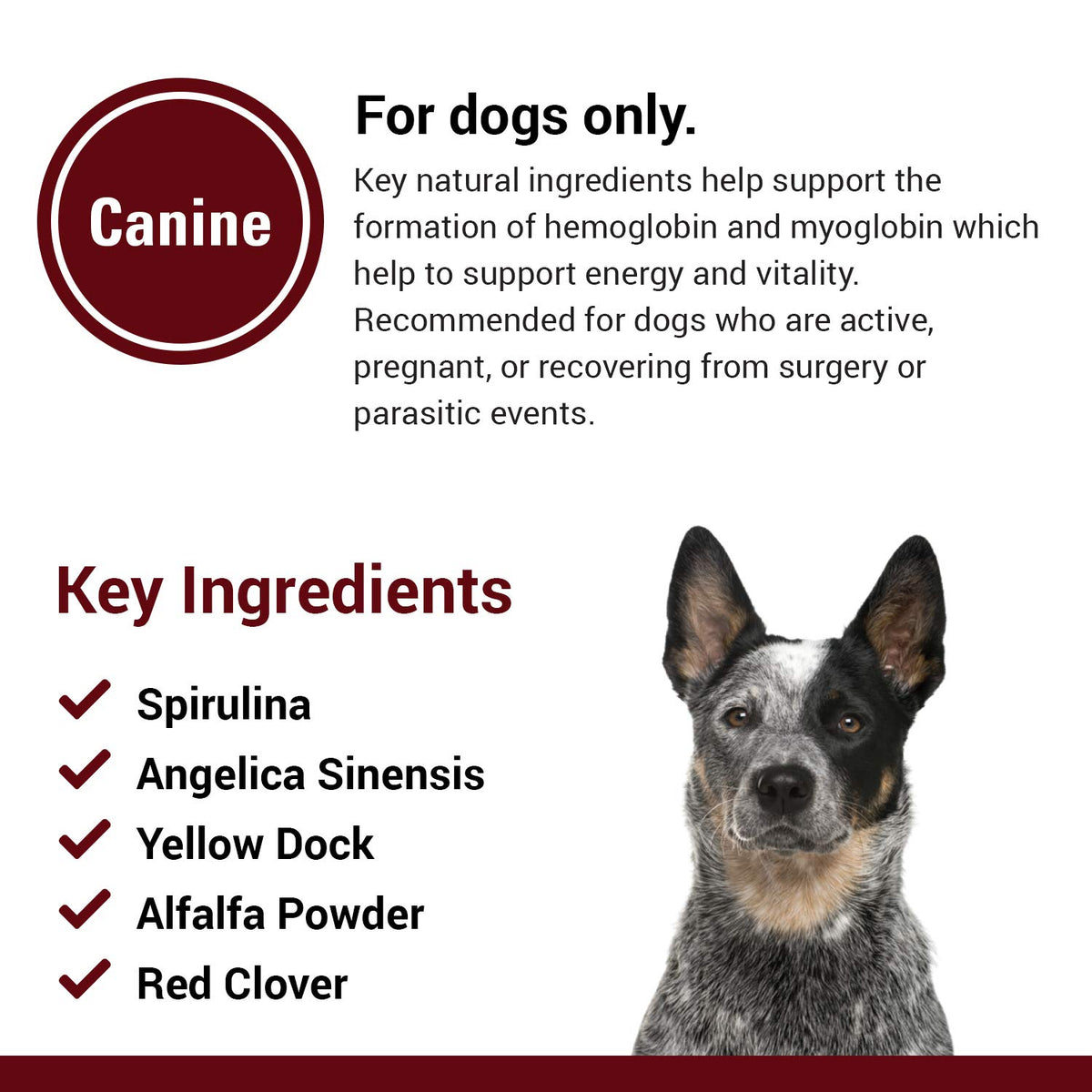 Blood & Energy Support Supplement for Dogs 120 Tablets R6716