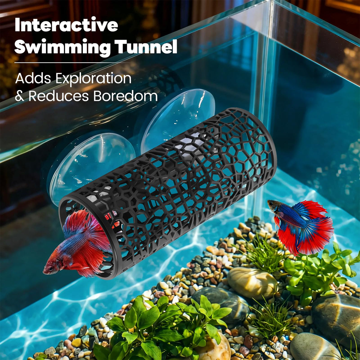 Betta Fish Tunnel Hammock Mirror Floating Ball 2 Training Ring Toys T21511