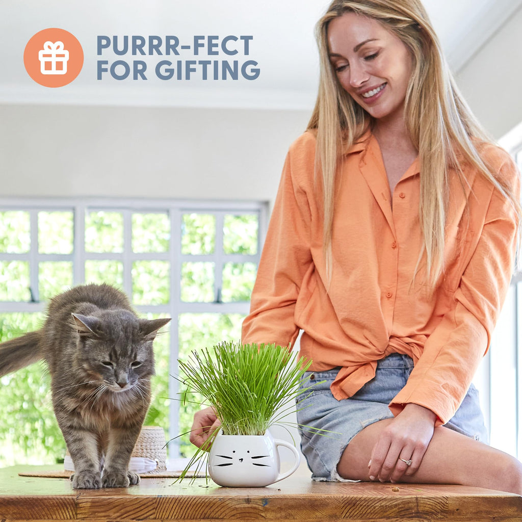 Organic Cat Grass Growing Kit with Seed Mix Soil and White Planter D970827