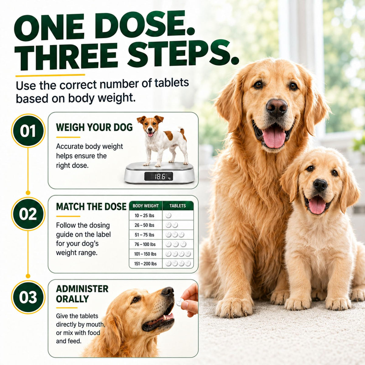 Dewormer for Dogs, 4-Way Wormer, 100 Count P70759