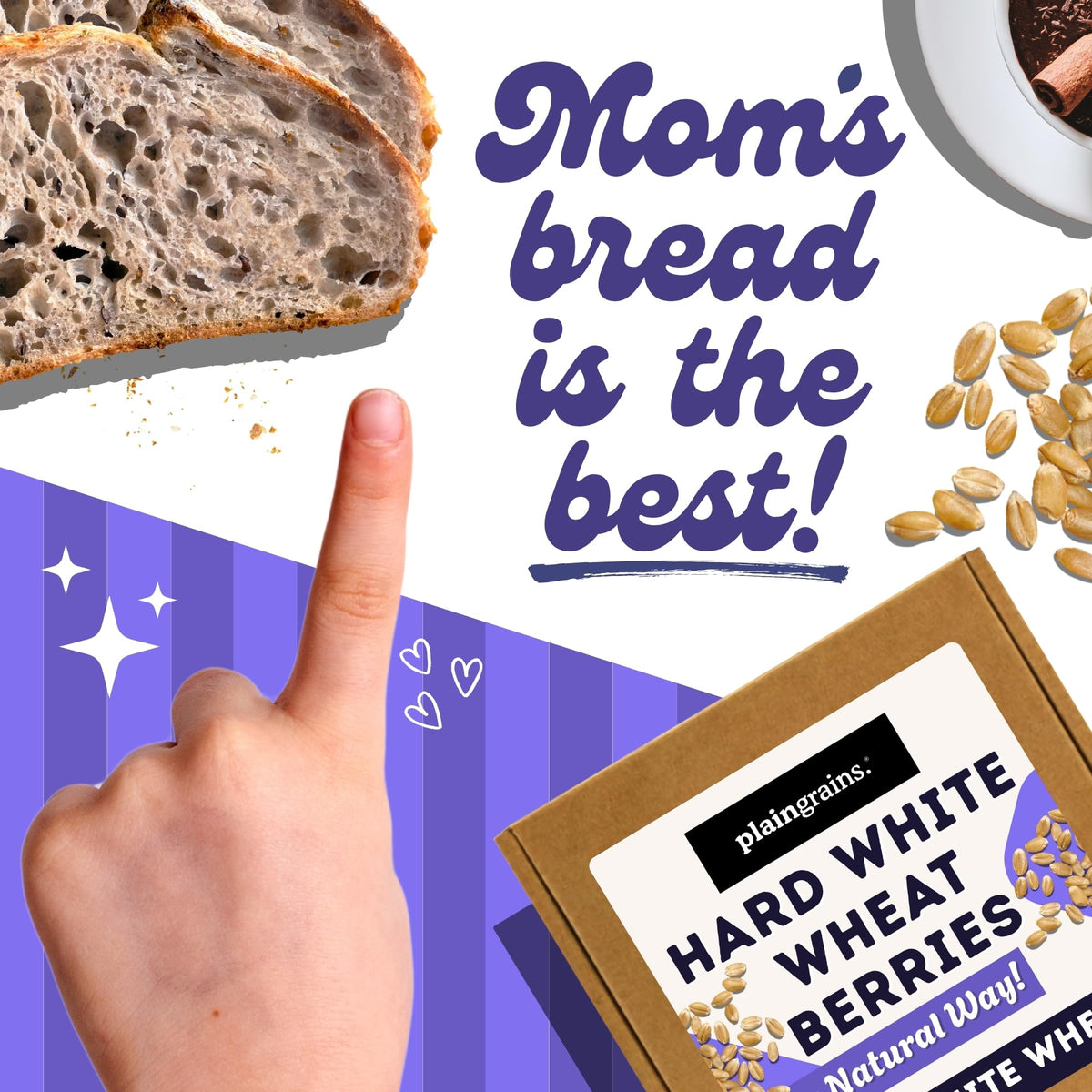 5.5 LB Dry Hard White Wheat Berries Whole Grain J846