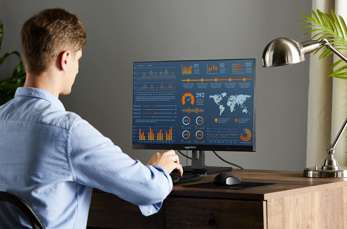 24-inch Full HD IPS Monitor, 75 Hz, 1080P, HDMI, Display Port, VGA, Built-in Speakers, Black R6205