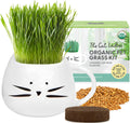 Organic Cat Grass Growing Kit with Seed Mix Soil and White Planter D970827
