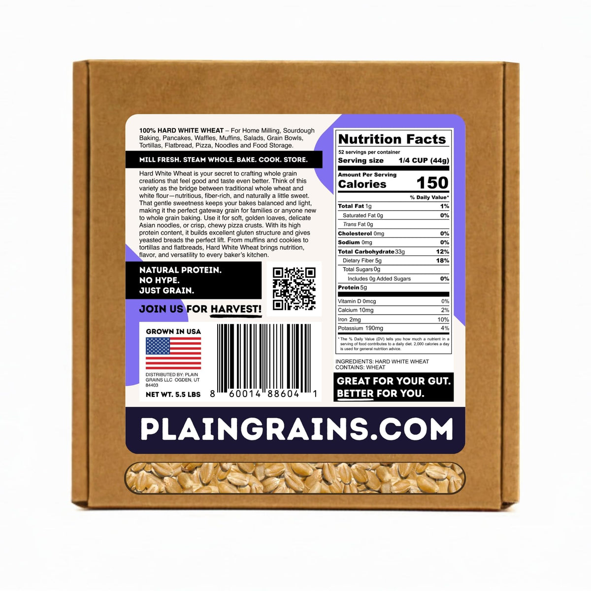 5.5 LB Dry Hard White Wheat Berries Whole Grain J846