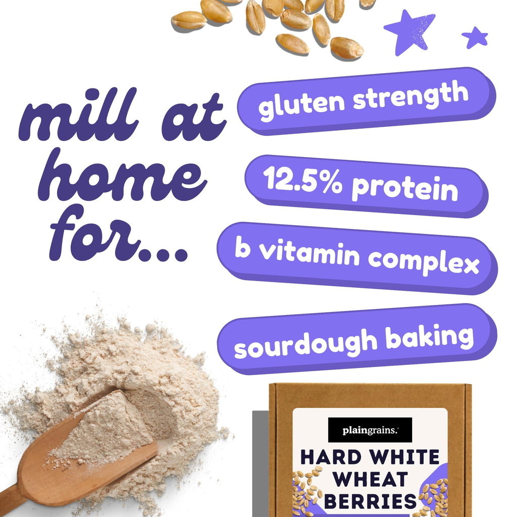 5.5 LB Dry Hard White Wheat Berries Whole Grain J846