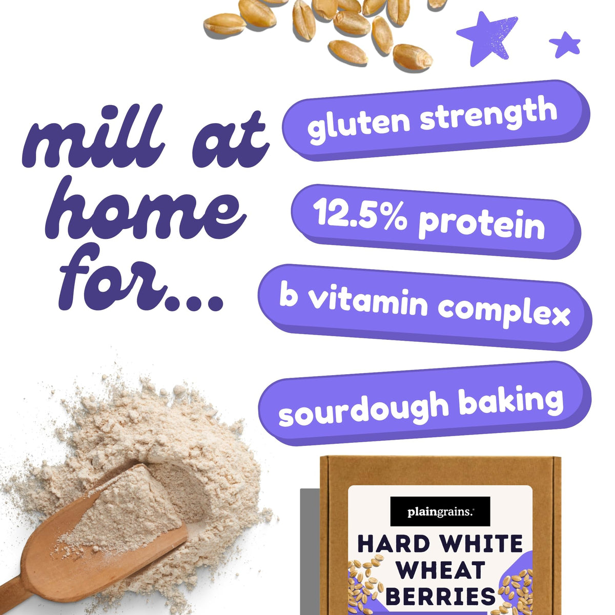 5.5 LB Dry Hard White Wheat Berries Whole Grain J846