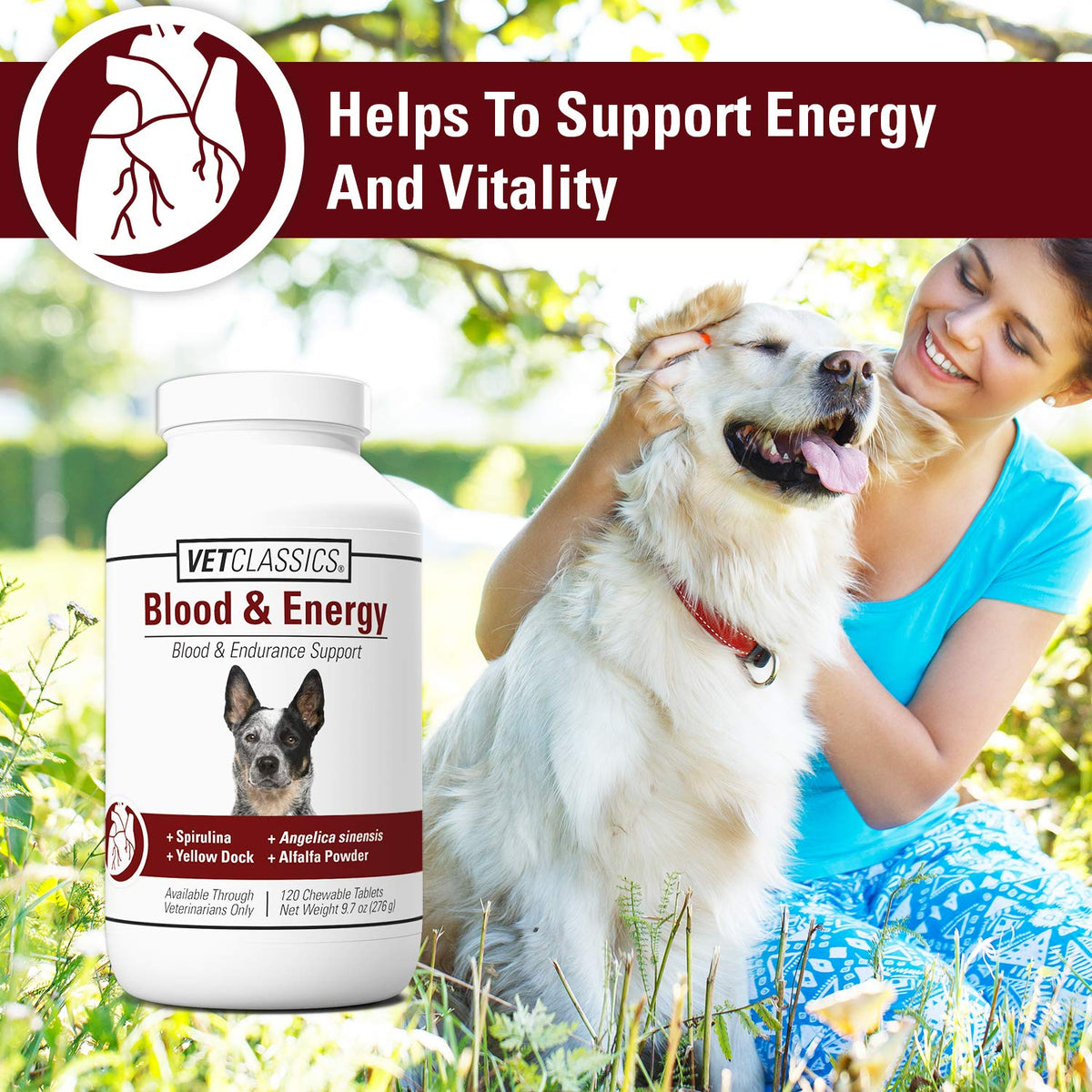 Blood & Energy Support Supplement for Dogs 120 Tablets R6716