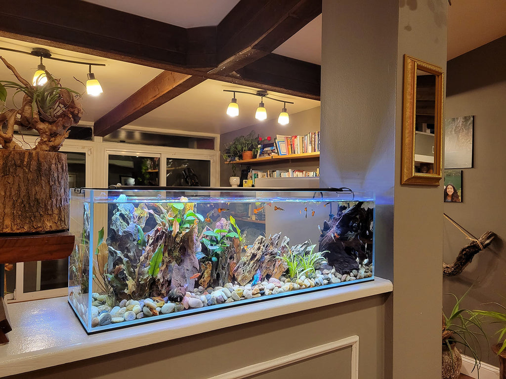 16 Gallon Clear Glass Bookshelf Aquarium K604