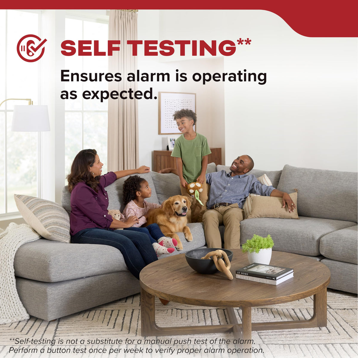 Smoke Detector, 10-Year Battery Powered, 85 dB Alarm, 1 Pack I877