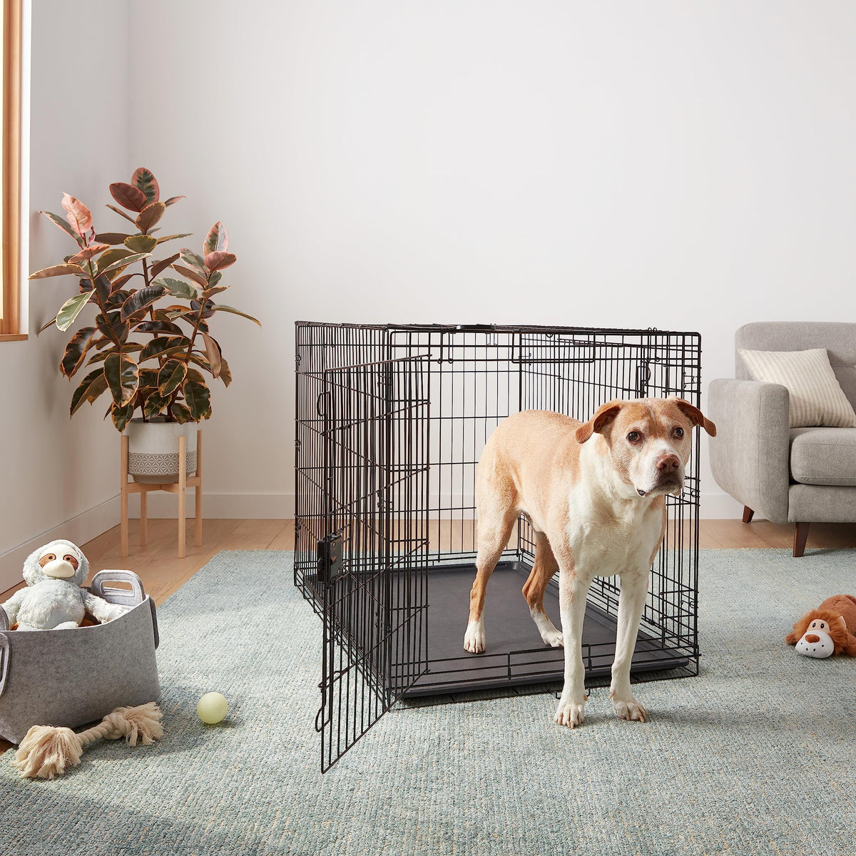 Portable Metal Wire Dog Crate, Double Door with Removable Tray, Black J61802